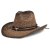 Straw Hat - Gårda Barcelona Western Hat (brown)
