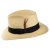 Hats - Summer C-Crown Fedora (natural)