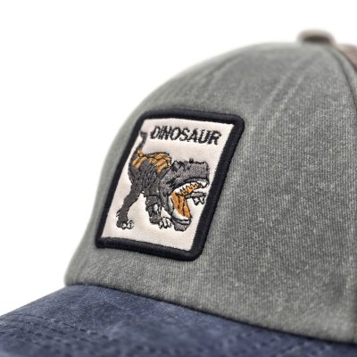 Cap Kids - Gårda Dinosaur Cap (grey/brown/blue)