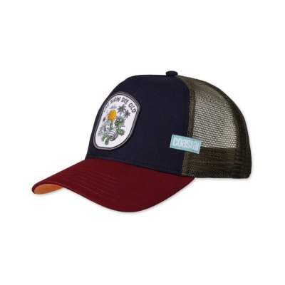 Cap - Coastal HFT LSDO Turtle Trucker (multi)
