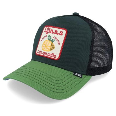 Cap - Djinns HFT Food Limoncello Trucker (green/grey)