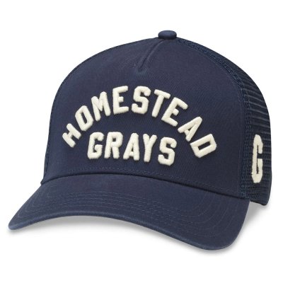 Cap - American Needle Homestead Grays NL Valin Cap (navy)