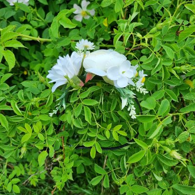 Flower wreath - Gårda Eden Flowerband (white)