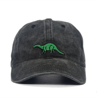 Caps - Gårda Dino (black)