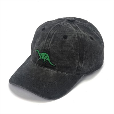 Caps - Gårda Dino (black)