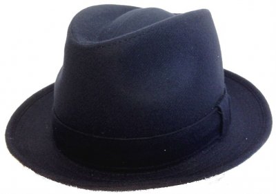 Hats - Wegener Albion (marine blue)